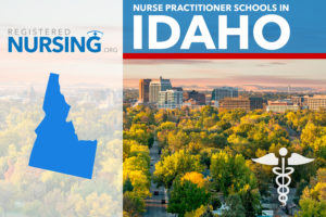 2025 Best Nurse Practitioner Programs in Idaho (Online & Campus Ranked)