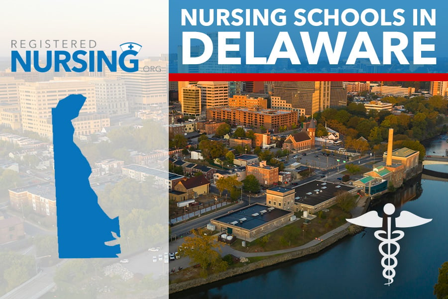 school nursing jobs delaware