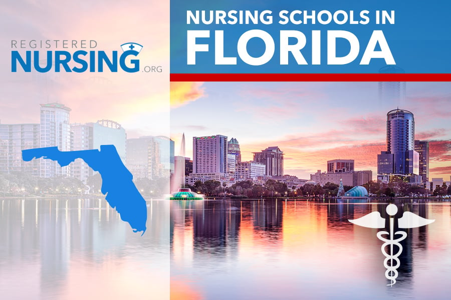 online nursing programs florida