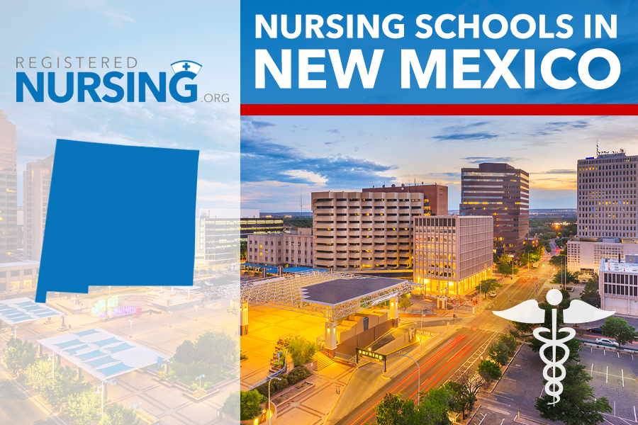 Best Nursing Schools In New Mexico - ADN, BSN, MSN