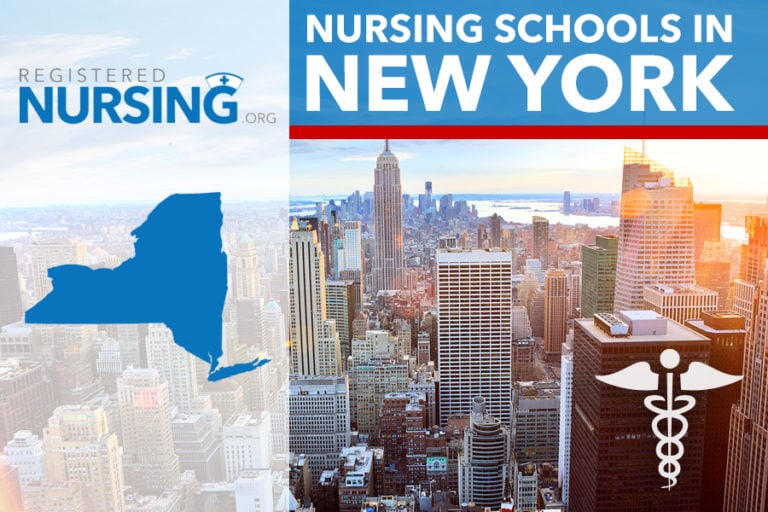 Best Nursing Schools in New York ADN BSN MSN