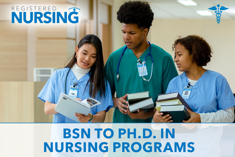 bsn to phd nursing programs