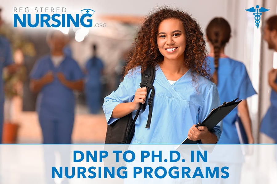 dnp to phd nursing programs