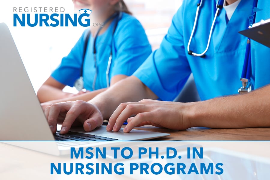 msn to phd nursing programs